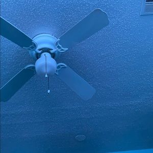 Meet your Posher, Dulce